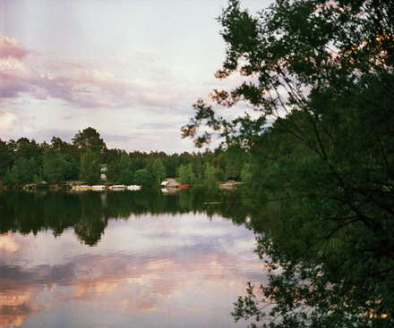 Overview