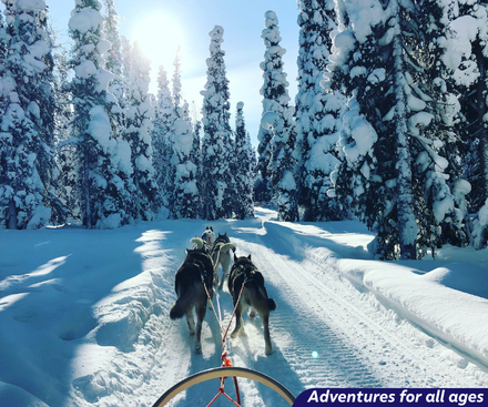 Adventures in Kilpisjärvi
