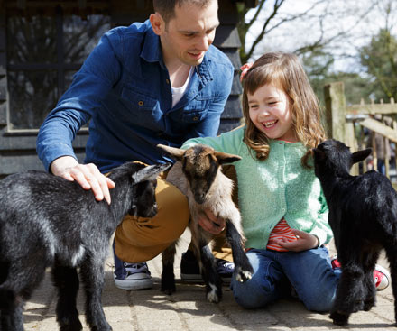 The Children's Farm