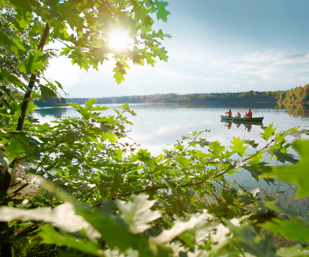 4th November 2026